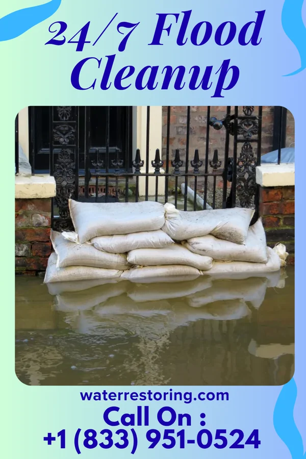 24/7 Flood Cleanup in Sheldon, IA