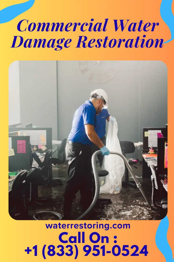 Commercial Water Damage Restoration in Sheldon, IA