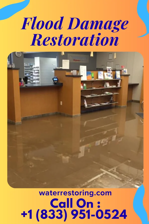 Flood Damage Restoration in Sheldon, IA