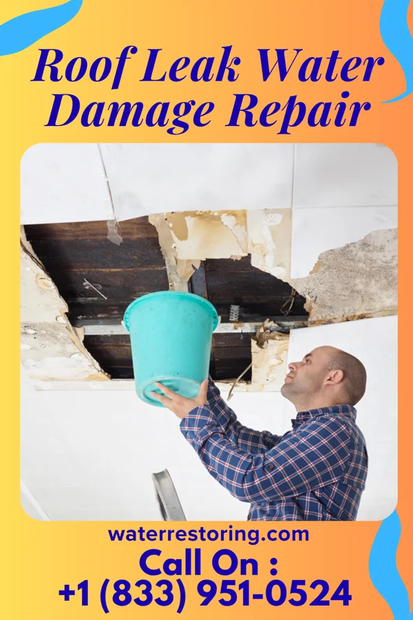 Roof Leak Water Damage Repair in Sheldon, IA