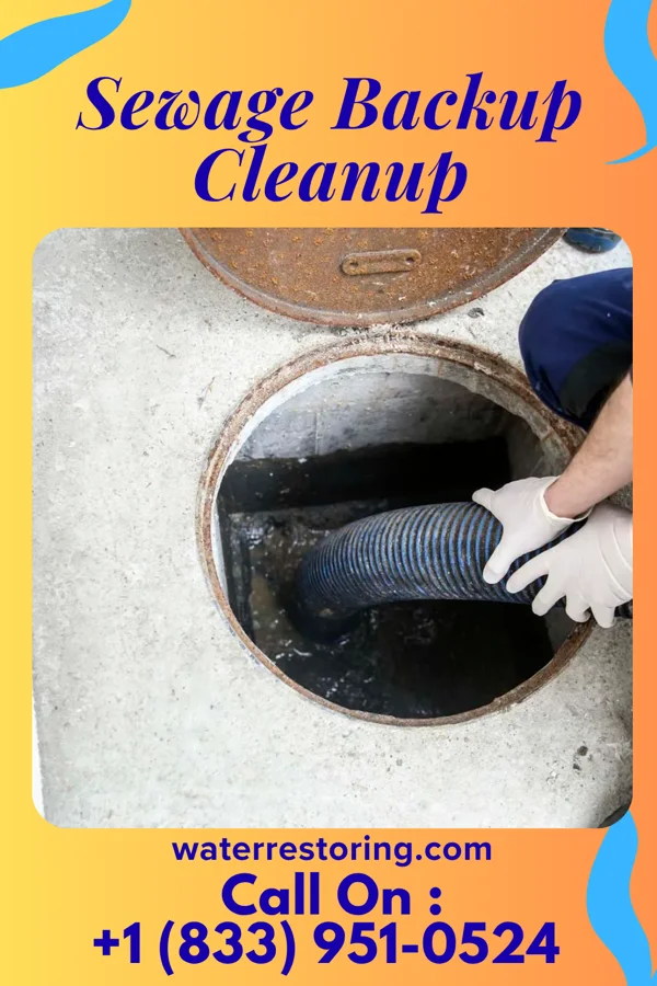 Sewage Backup Cleanup in Sheldon, IA